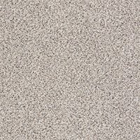 PHL.COLOR.EXPRESS.ACCENT.I Shaw Color Express Accent I Carpet