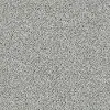 PHL.COLOR.EXPRESS.ACCENT.II Shaw Color Express Accent II Carpet