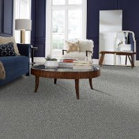 PHL.COLOR.EXPRESS.ACCENT.II Shaw Color Express Accent II Carpet-2
