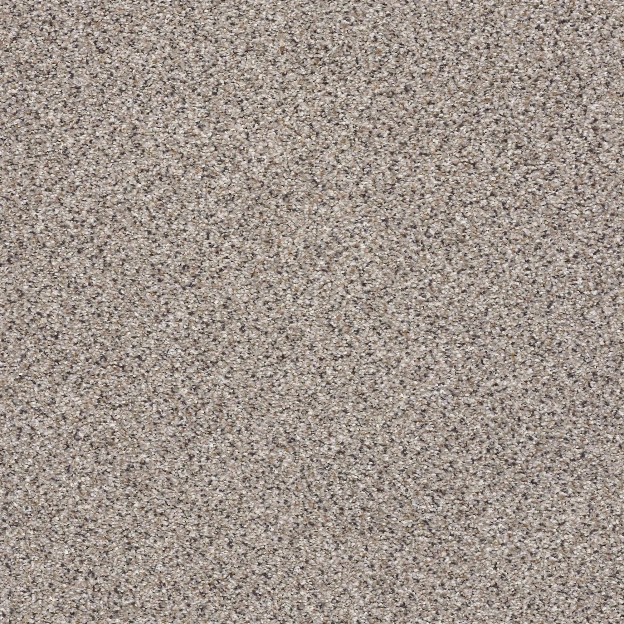 PHL.COLOR.EXPRESS.ACCENT.II.LG Shaw Color Express Accent II with LifeGuard Backing Carpet-1