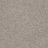 PHL.COLOR.EXPRESS.ACCENT.II.LG Shaw Color Express Accent II with LifeGuard Backing Carpet