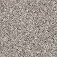 PHL.COLOR.EXPRESS.ACCENT.II.LG Shaw Color Express Accent II with LifeGuard Backing Carpet-1