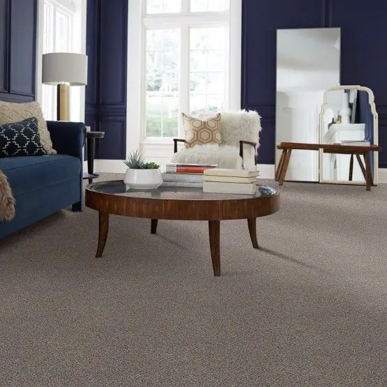 PHL.COLOR.EXPRESS.ACCENT.II.LG Shaw Color Express Accent II with LifeGuard Backing Carpet-2