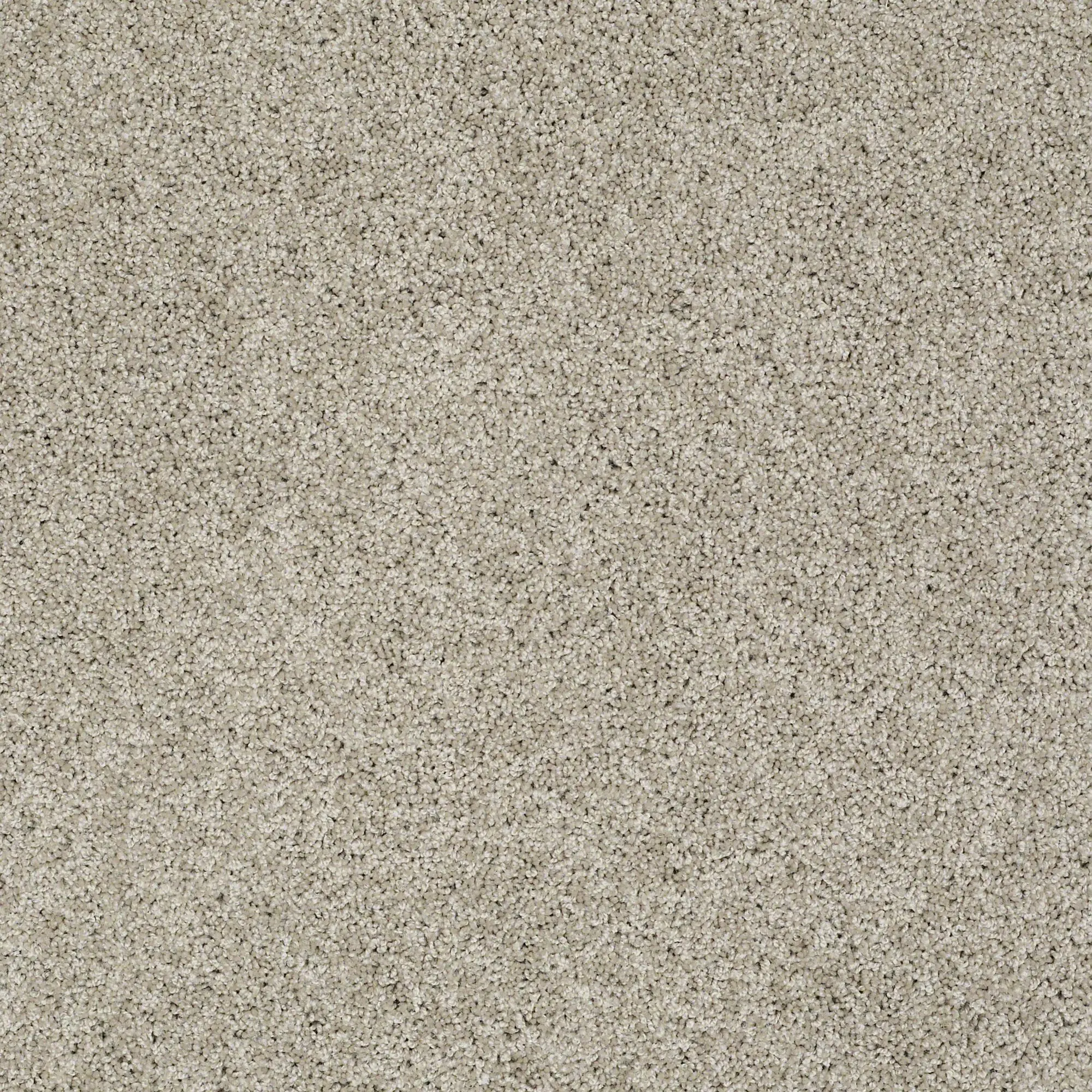 PHL.COLOR.EXPRESS.TWIST.I Shaw Color Express Twist I Carpet-1