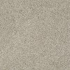 PHL.COLOR.EXPRESS.TWIST.I Shaw Color Express Twist I Carpet