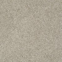 PHL.COLOR.EXPRESS.TWIST.I Shaw Color Express Twist I Carpet