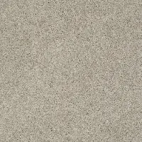 PHL.COLOR.EXPRESS.TWIST.I Shaw Color Express Twist I Carpet
