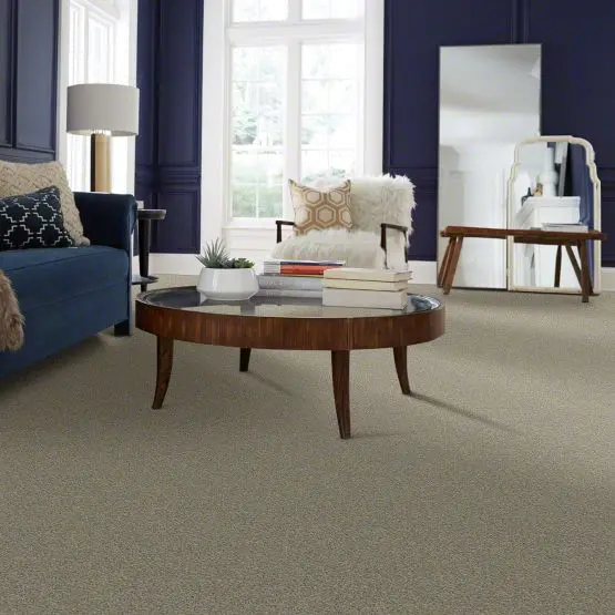 PHL.COLOR.EXPRESS.TWIST.I Shaw Color Express Twist I Carpet-2