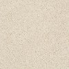 PHL.COLOR.EXPRESS.TWIST.II Shaw Color Express Twist II Carpet