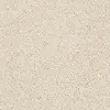 PHL.COLOR.EXPRESS.TWIST.II Shaw Color Express Twist II Carpet