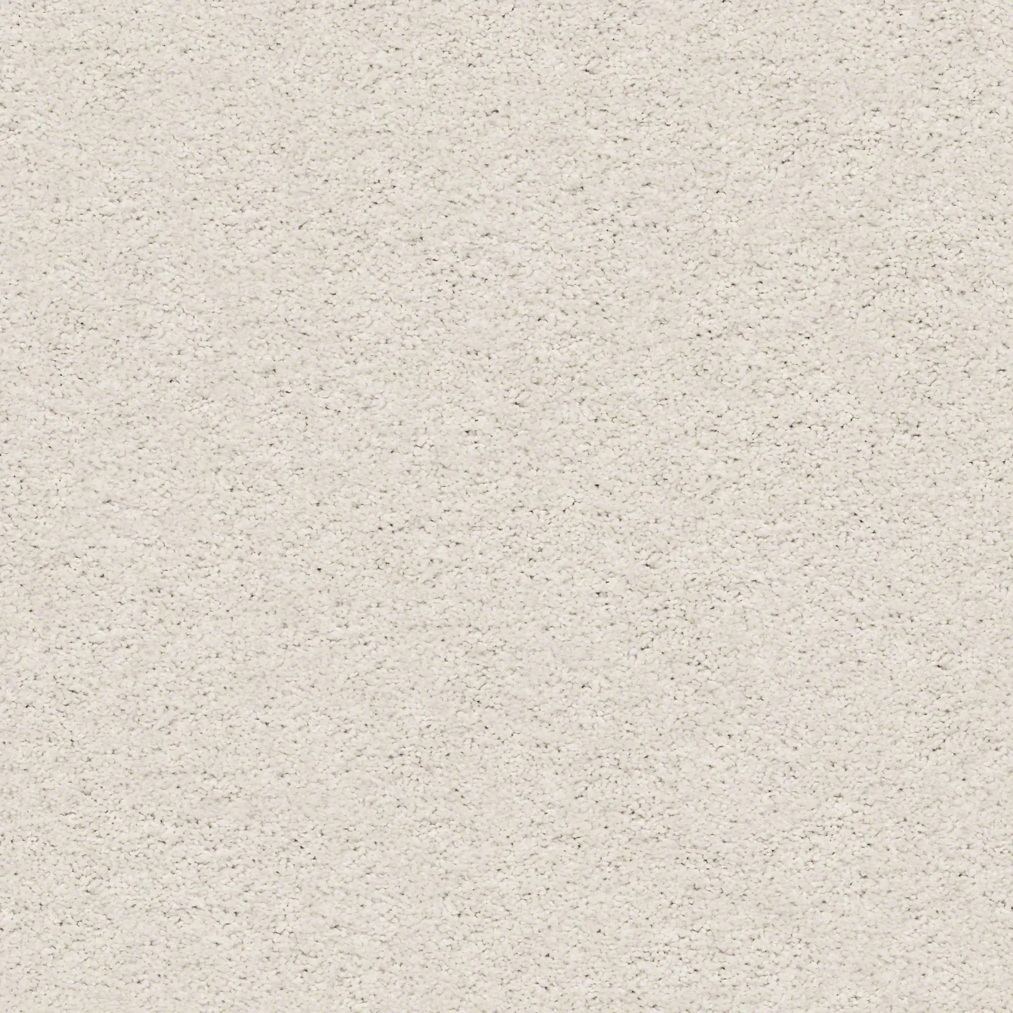 PHL.COLOR.EXPRESS.TWIST.II.LG Shaw Color Express Twist II LG Carpet-1