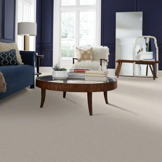 PHL.COLOR.EXPRESS.TWIST.II.LG Shaw Color Express Twist II LG Carpet-2