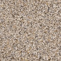 PHN.SNAZZY Phenix Snazzy Carpet