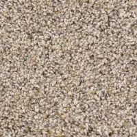 PHN.SNAZZY Phenix Snazzy Carpet