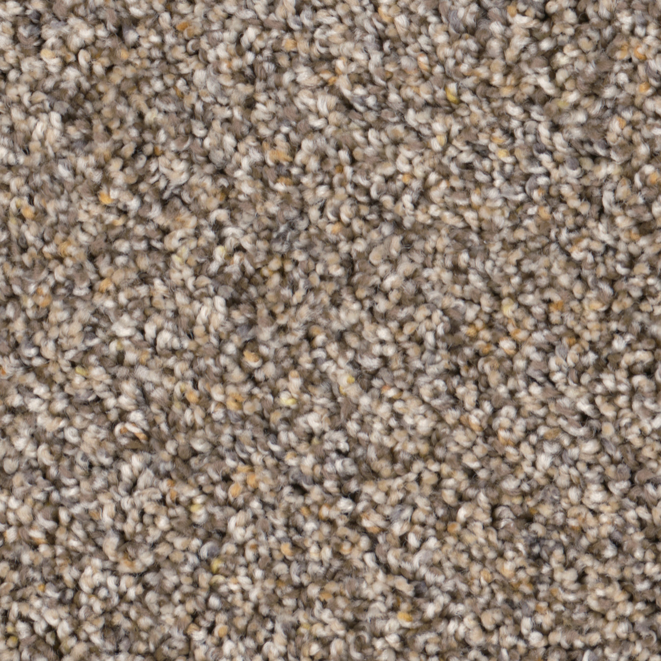 PHN.STUPENDOUS Phenix Stupendous Carpet-1