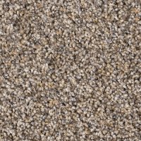 PHN.STUPENDOUS Phenix Stupendous Carpet