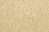 BRE.SIMPLICITY Dixie Home Stainmaster Simplicity Carpet