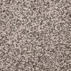 BRE.DEBUT Dixie Home Stainmaster Debut Carpet