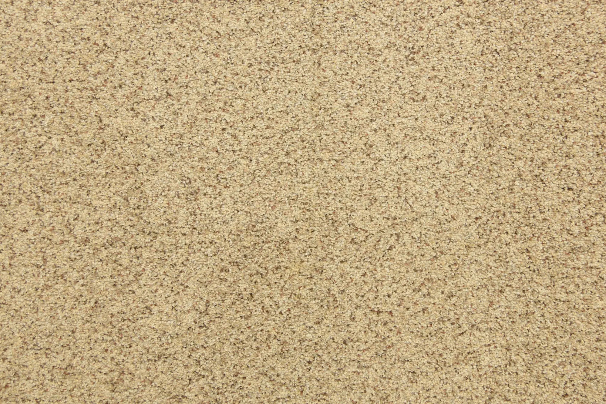 BRE.PURE.GRACE Dixie Home Pure Grace Carpet-1
