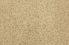 BRE.PURE.GRACE Dixie Home Stainmaster Pure Grace Carpet