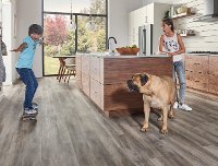 BBFS.AUGUSTA/YUKON.LVP Best Buy Augusta Yukon Luxury Vinyl Plank Flooring - 9 x 48 Inch