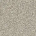 Mohawk West Ridge I Carpet