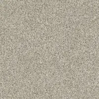Mohawk West Ridge I Carpet