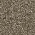 Mohawk West Ridge II Carpet