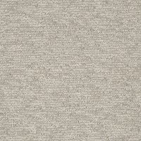 DWC.FINISHING.TOUCH.STOCK Dream Weaver Finishing Touch Carpet