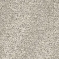 DWC.FINISHING.TOUCH.STOCK Dream Weaver Finishing Touch Carpet