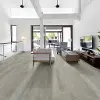 SHB.ANVIL.20.STOCK Shaw Anvil Luxury Vinyl Plank Flooring - 7 x 48 Inch