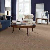DSW.ROAMER.STOCK Tuftex Roamer Carpet-2