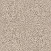 DSW.TRENDS.STOCK Tuftex Trends Carpet