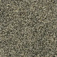 KAR.FASCINATING.GLAMOUR.STOCK Karastan Fascination Glamour Carpet