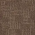 DSW.LOREDO Tuftex Loredo Carpet