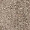 DSW.NOMAD Tuftex Nomad Carpet