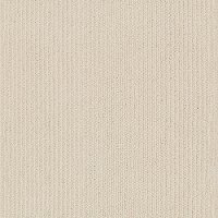 DSW.DYNASTY Tuftex Dynasty Carpet-1