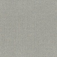 DSW.PURRFECTION Tuftex Stainmaster Purrfection Carpet