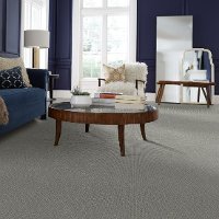 DSW.PURRFECTION Tuftex Stainmaster Purrfection Carpet-2