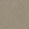 DSW.FUR-EVER Tuftex Fur-Ever Carpet