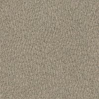 DSW.FUR-EVER Tuftex Fur-Ever Carpet-1