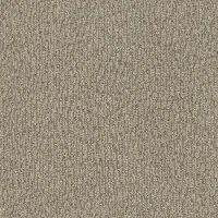 DSW.FUR-EVER Tuftex Fur-Ever Carpet