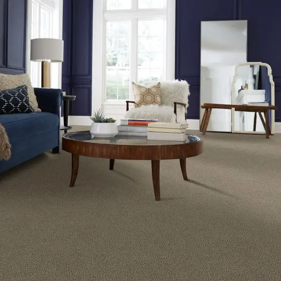 DSW.FUR-EVER Tuftex Fur-Ever Carpet-2