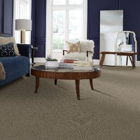 DSW.FUR-EVER Tuftex Fur-Ever Carpet-2