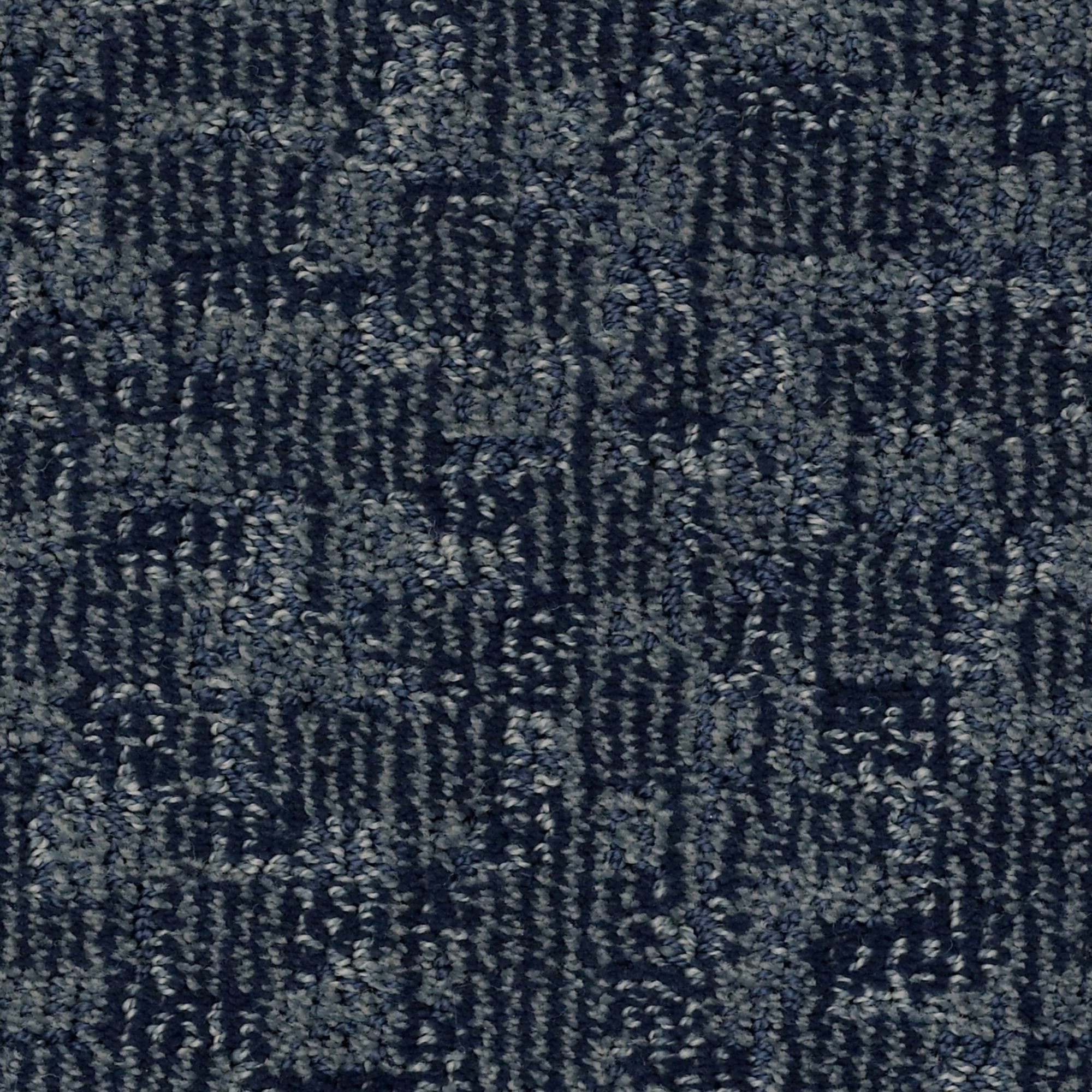 DSW.PAW-TAY Tuftex Paw-Tay Carpet-1