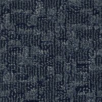 DSW.PAW-TAY Tuftex Stainmaster Paw-Tay Carpet