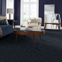 DSW.PAW-TAY Tuftex Stainmaster Paw-Tay Carpet-2
