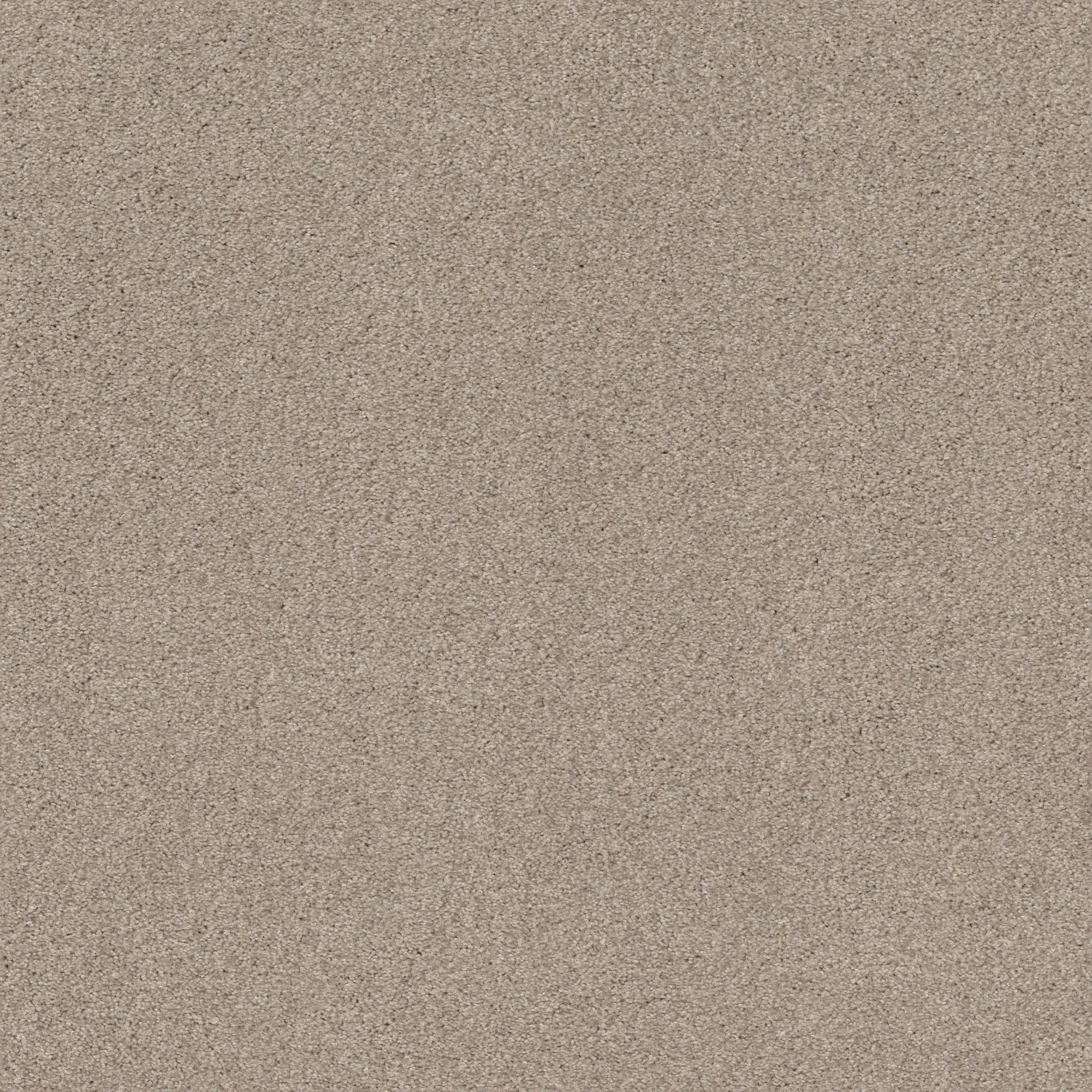 PHL.COZY.MIST.I Shaw Cozy Mist I Carpet-1