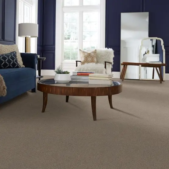 PHL.COZY.MIST.I Shaw Cozy Mist I Carpet-2