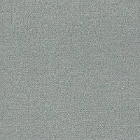 PHL.DESIGN.TIME Shaw Design Time Carpet